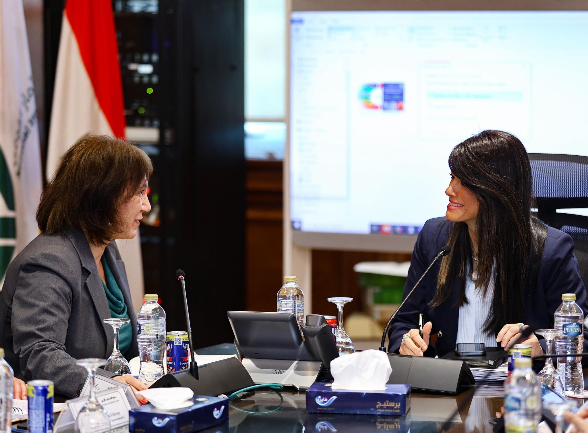Al-Mashat, IMF mission chief discuss Egypt's structural reform program

